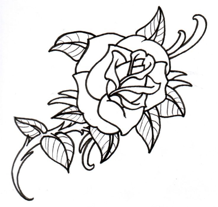 736x699 Hot Tattoos For Girls Outline Old School Rose Outline