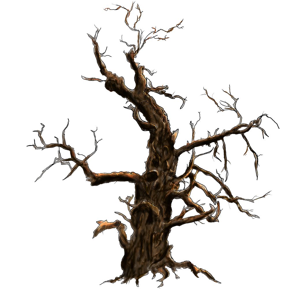 1000x1000 gnarled tree drawing