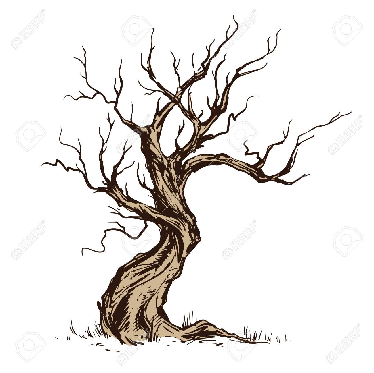 1300x1299 Handsketched Illustration Of Old Crooked Tree Dry Wood, Tinder