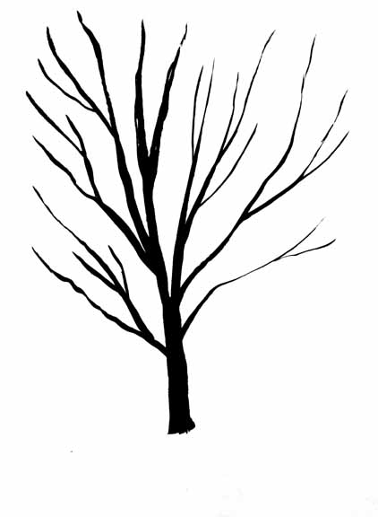 422x576 Huge Collection Of 'black And White Trees Drawing' Download More