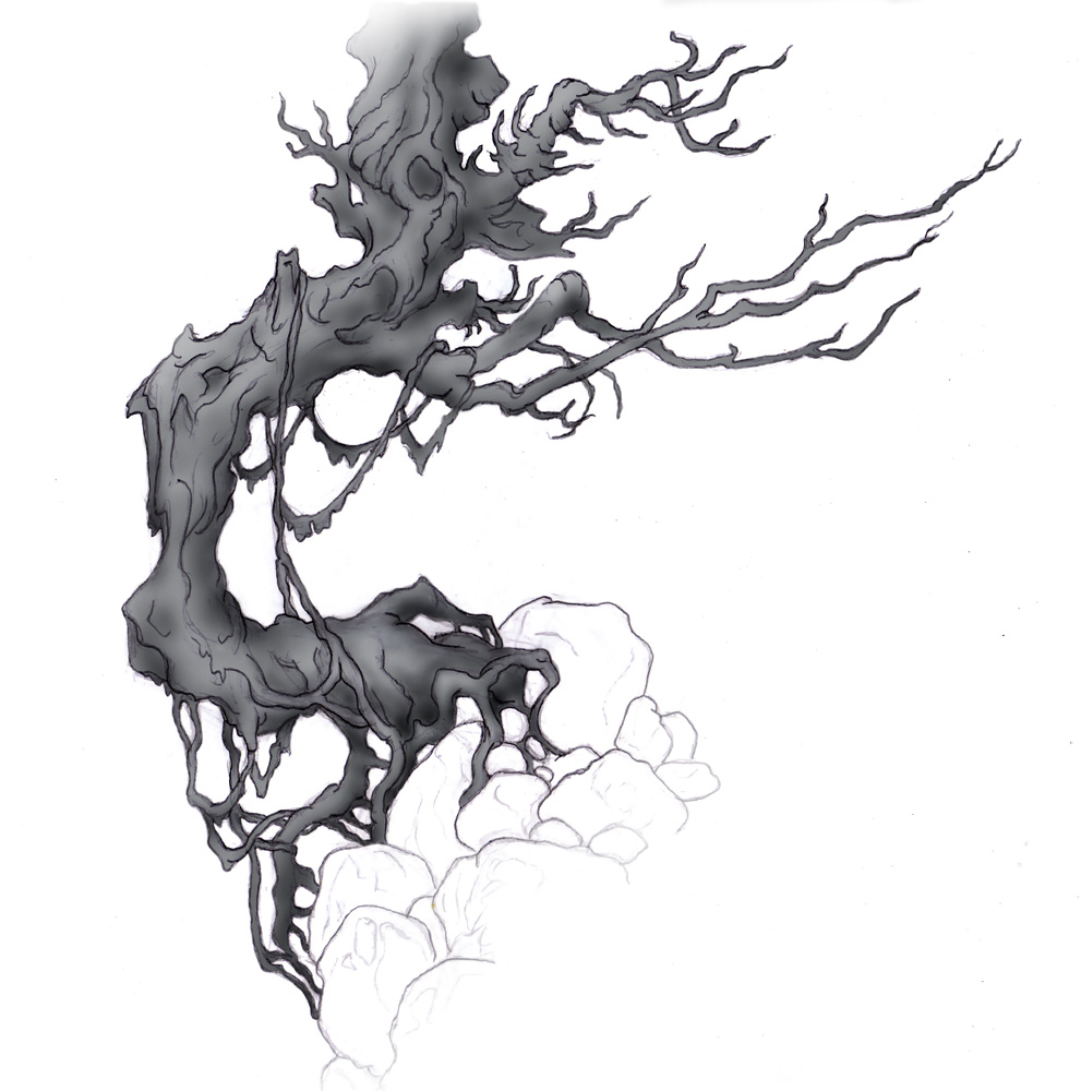 991x1000 Magellin Blog Wicked Old Tree