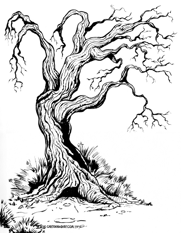 598x769 old gnarly tree ink brush sketch cartoon