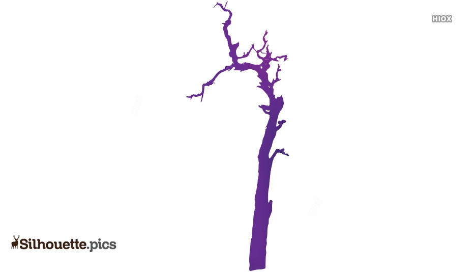 934x534 Old Tree Clip Art Drawing Silhouette Pics