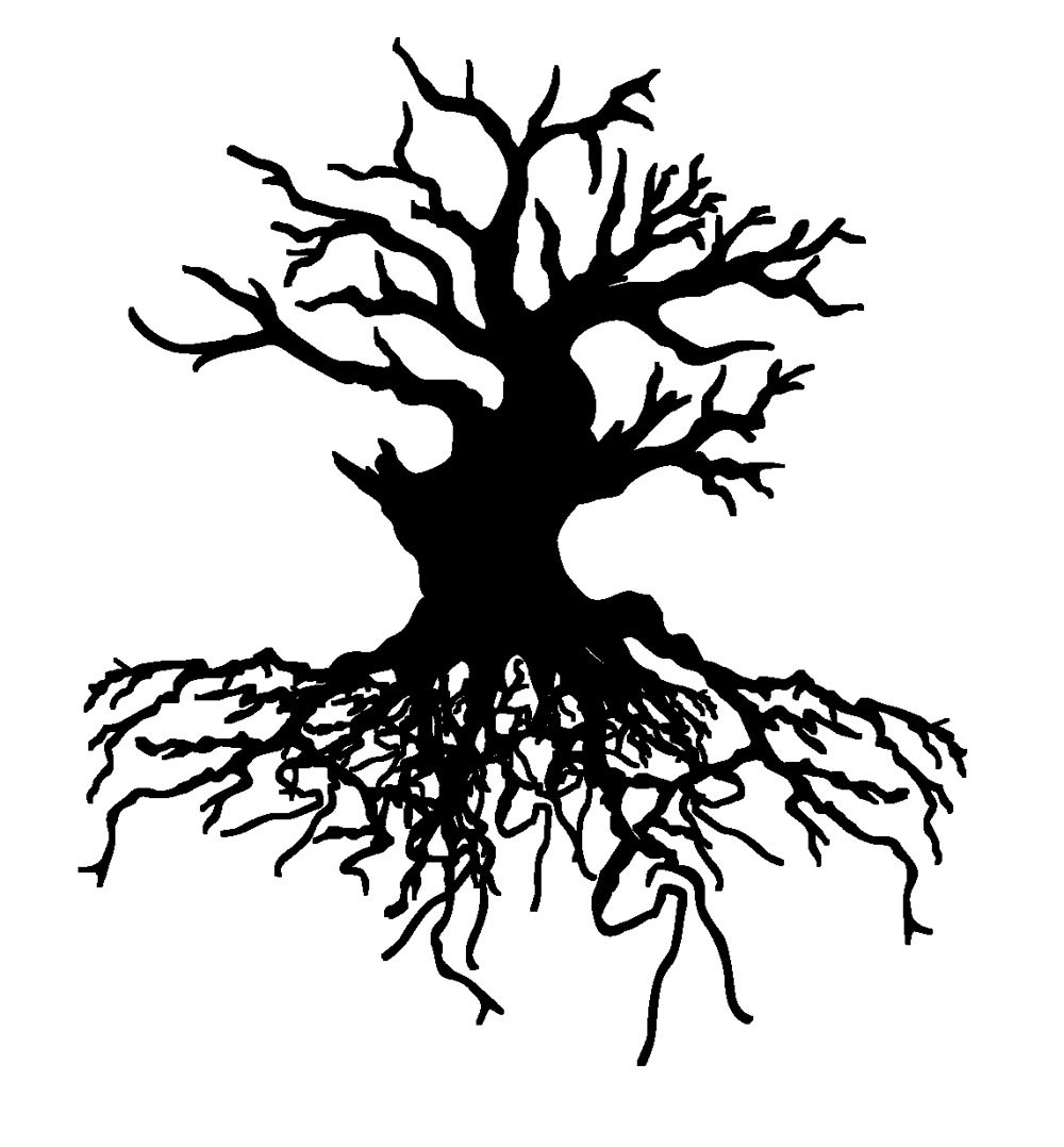 Корни черно белая. Корни дерева. Дерево с корнями силуэт. Дерево с корнями чб. Дерево с корнями эскиз.