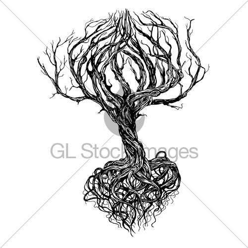 500x500 Old Tree Gl Stock Images