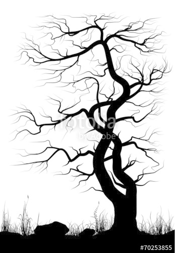 347x500 Silhouette Of Old Tree And Grass Over White Background Stock