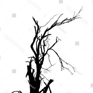 300x300 Stock Illustration Tree With No Leaves Soidergi