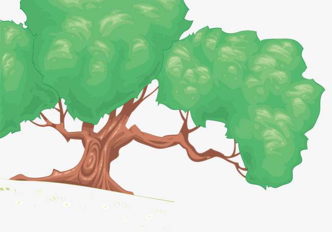 650x454 Centuries Old Trees Growing On The Slopes, Trees, Heaven Tree