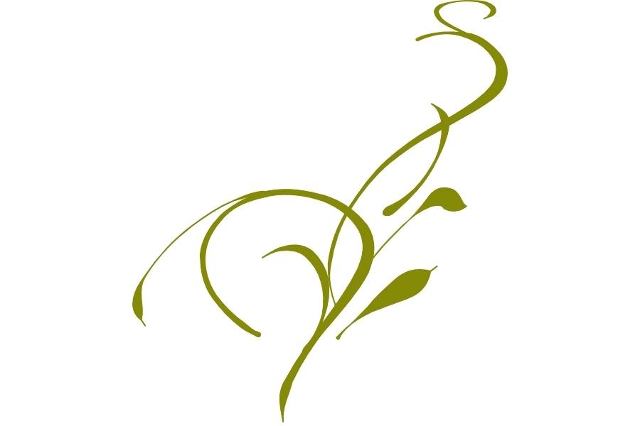 900x600 Olive Branch Clip Art Vine Drawing Website Images Crazywind