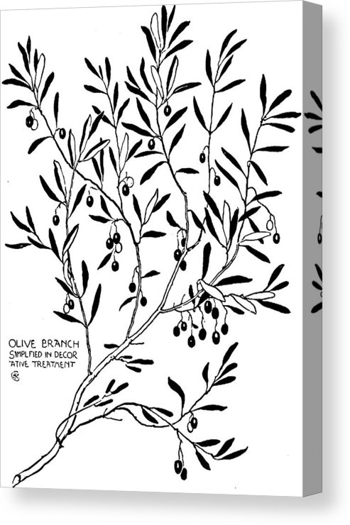 493x740 Olive Branch Simplified In Decor Canvas Print Canvas Art