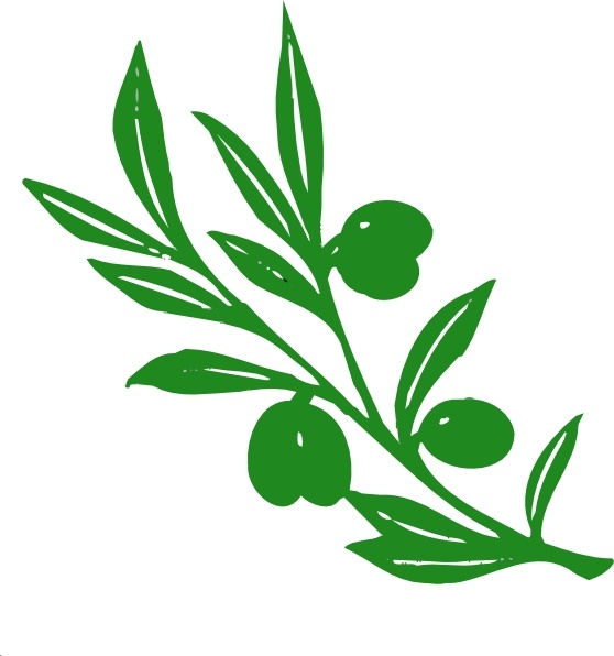 558x596 Olive Tree Branch Clip Art Free Vector In Open Office Drawing