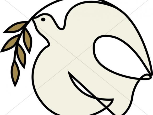 640x480 Drawn Dove Olive Branch Drawing