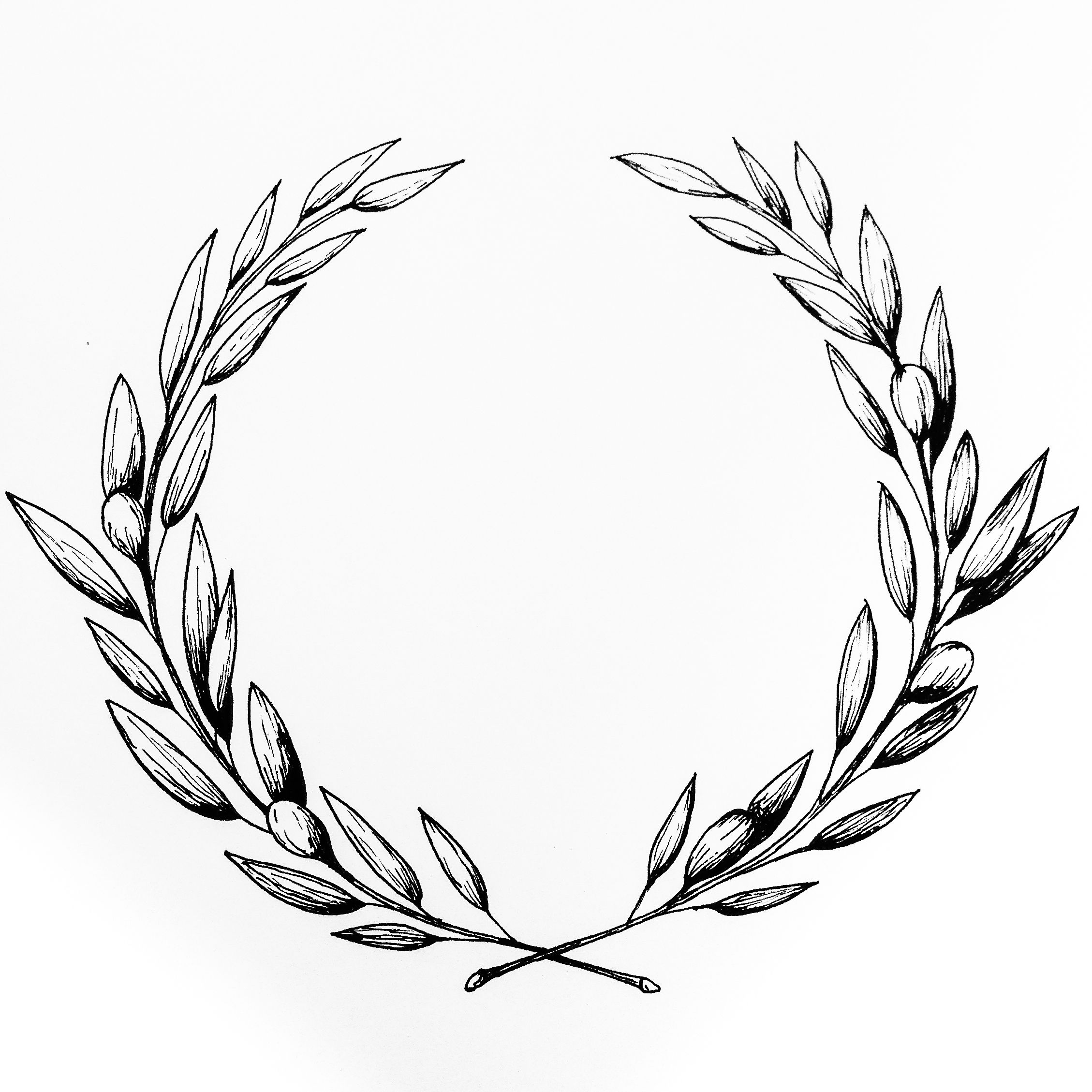 2258x2258 Huge Collection Of 'olive Wreath Drawing' Download More Than