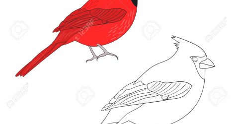 471x250 Judicial Branch Building Drawing Executive Tree Olive Black Pine