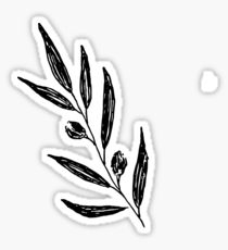 210x230 Olive Tree Drawing Gifts Merchandise Redbubble