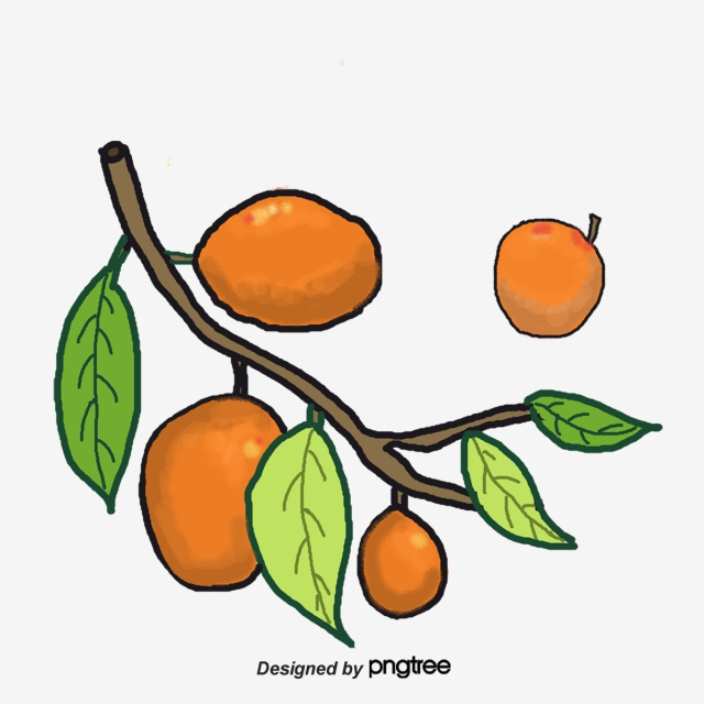 640x640 Cartoon Drawing Olive Fruit, Cartoon Vector, Fruit Vector, Cartoon