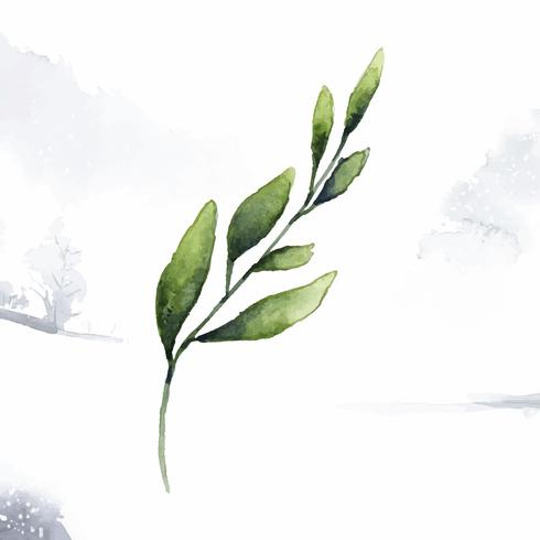490x490 Hand Drawn Olive Branch Watercolor Style Vector
