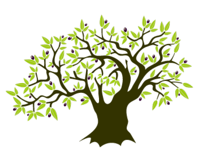 640x480 Olive Branch Download Free Clipart With A Transparent Background