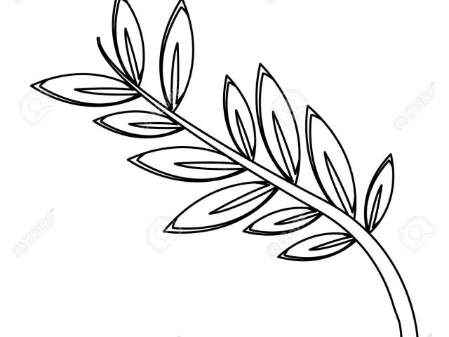 640x480 Peace Symbol Clipart Olive Leaf