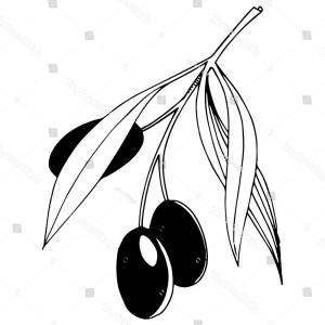 300x300 Simple Nature Wreath Olive Leaves Stylish Soidergi