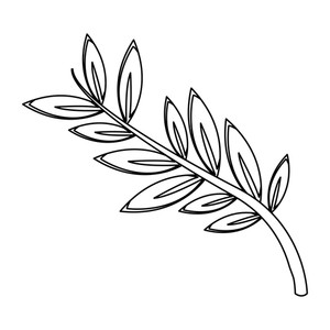 300x300 Olive Leaf Royalty Free Photos And Vectors