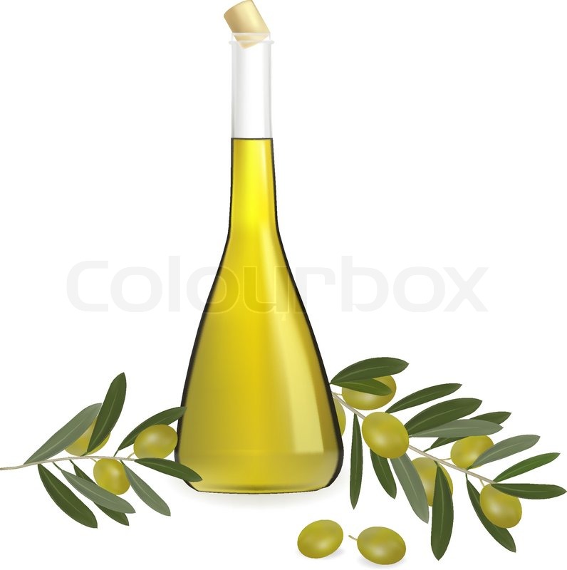 796x800 bottle of olive oil with olives and stock vector colourbox
