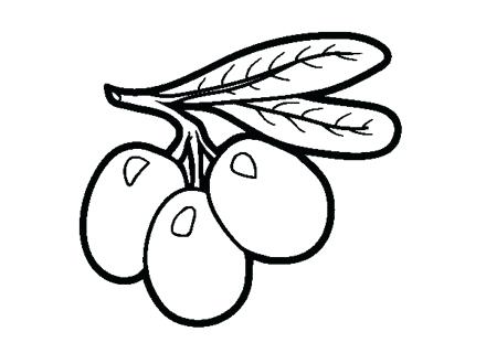 440x330 Olive Branch Coloring