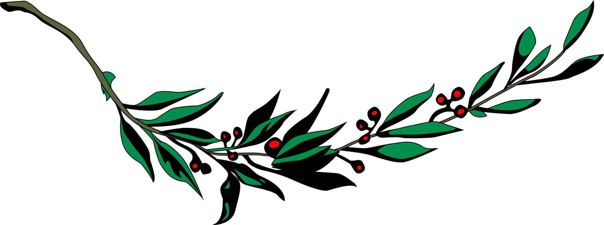 2013x750 Laurel Drawing Branch Transparent Png Clipart Free Download