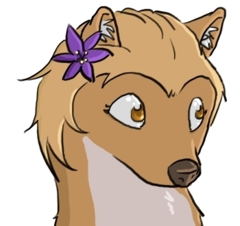 350x330 Kate Drawing