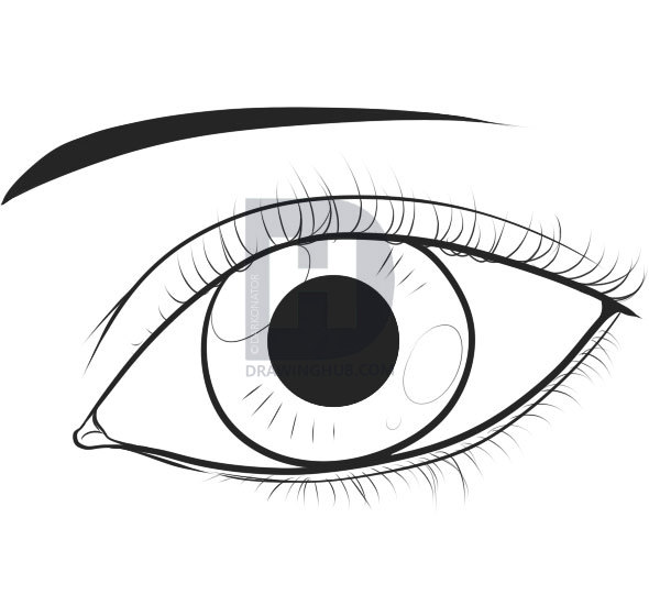 590x541 How To Draw An Easy Eye, Step