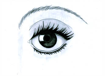 345x250 Eyedraw Explore Eyedraw