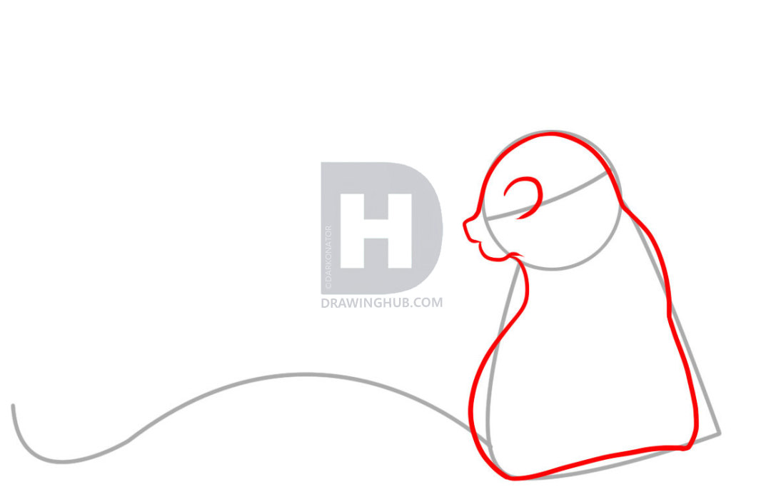 1080x682 How To Draw A Tail, Step