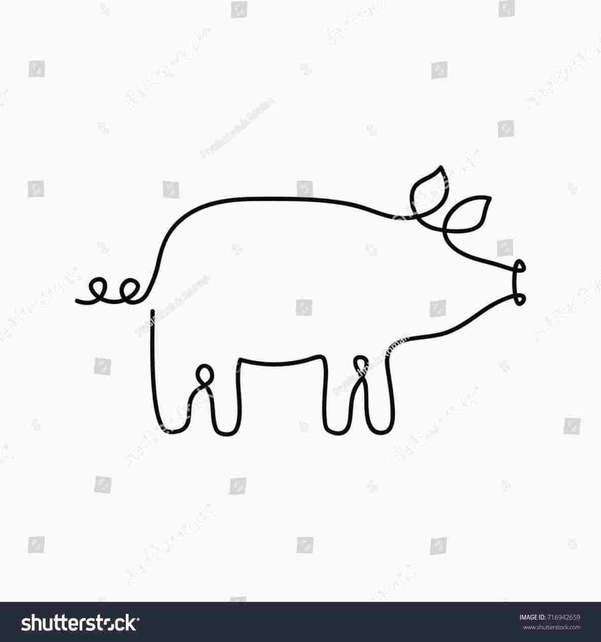 1185x1264 Steemitrhsteemitcom Pig Drawing Continuous Stock Vector Royalty