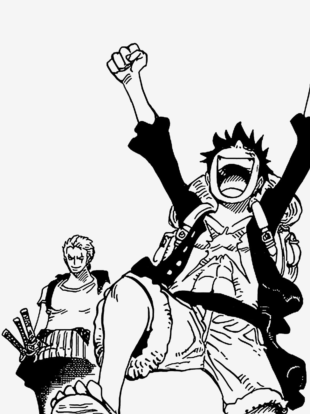 1065x1420 Zoro Understands Luffy King Of The Pirates One Piece, One