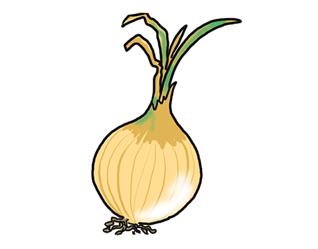 460x360 Drawing, Food, Vegetable, Transparent Png Image Clipart Free