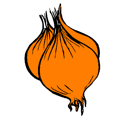 505x470 Drawing, Vegetable, Food, Transparent Png Image Clipart Free