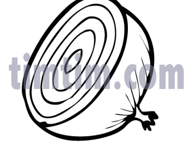 640x480 Drawn Onion Line Drawing