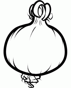247x302 How To Draw How To Draw An Onion