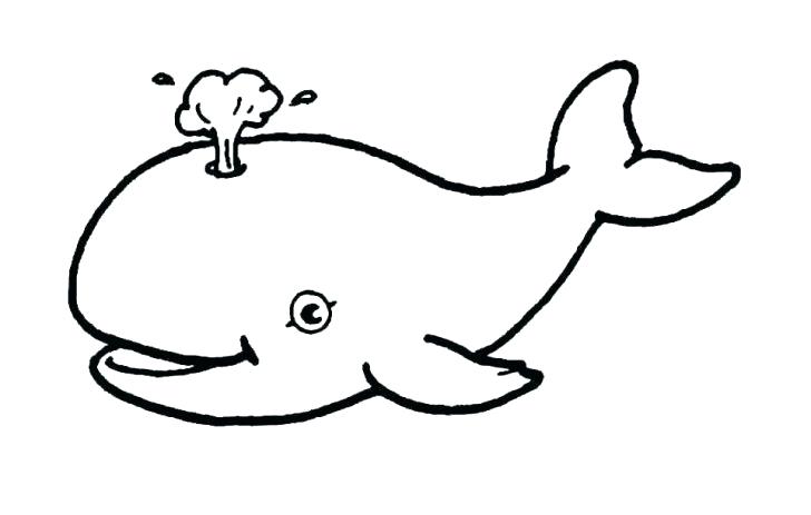 728x463 Whale Drawing For Kids Medium Size Of Coloring Pages Online