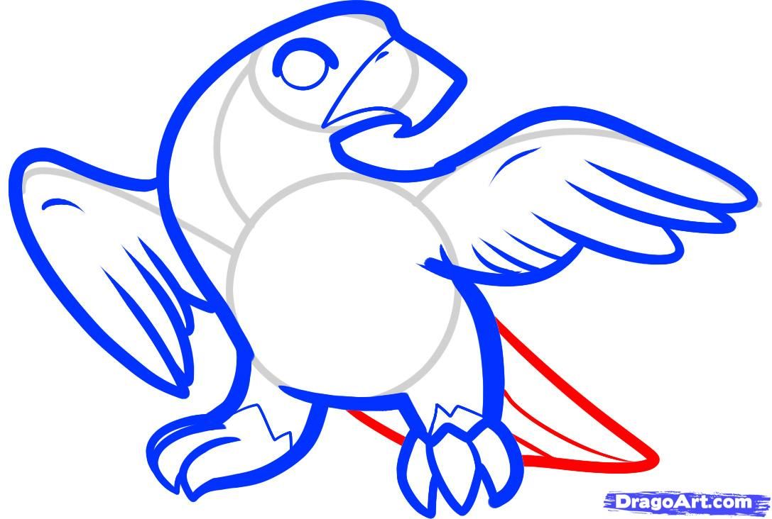 1087x732 How To Draw A Falcon For Kids Step Kids Storyboard
