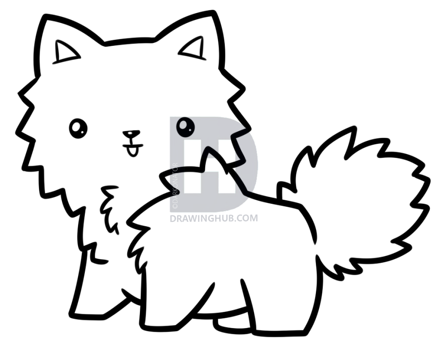 888x720 draw a chibi pomeranian, step