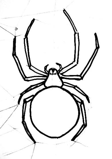 390x549 How To Draw A Garden Cross Spider