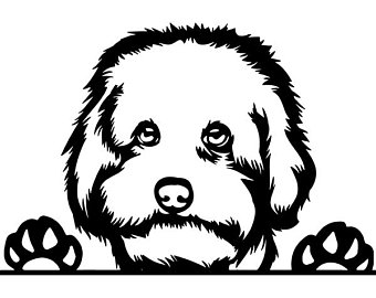 340x270 Maltipoo Drawing Etsy