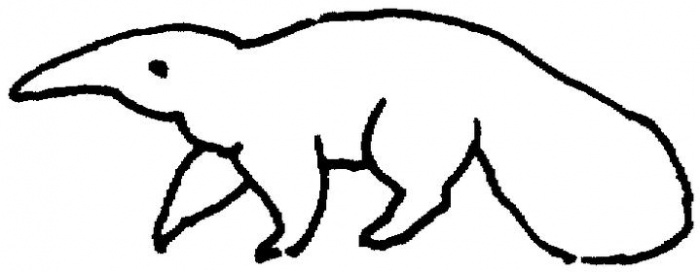 700x272 anteater drawing