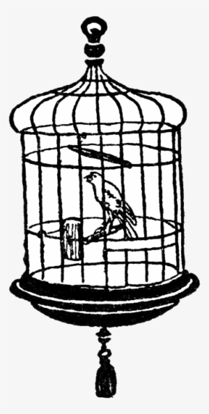 Collection of Cage clipart | Free download best Cage clipart on