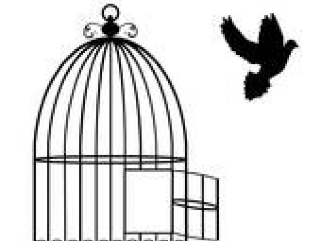 640x480 Birdcage Clipart Free Clip Art Stock Illustrations