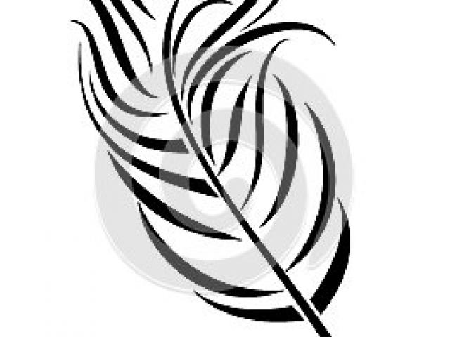 640x480 Peacock Clipart Open Feather Drawing