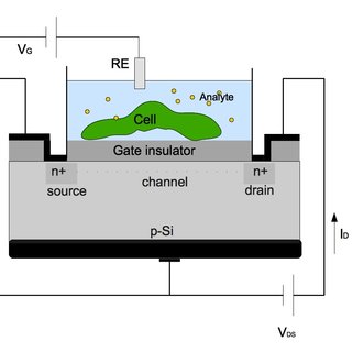 320x320 Celltransistor Hybrid The Open Gate Area Of The Fet Is