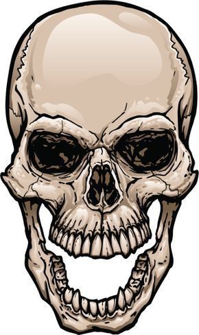 290x488 Viking Skull, Skull Stencil, Skull Sketch