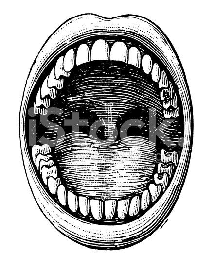 442x556 Antique Medical Illustration Depicting Open Mouth And Teeth